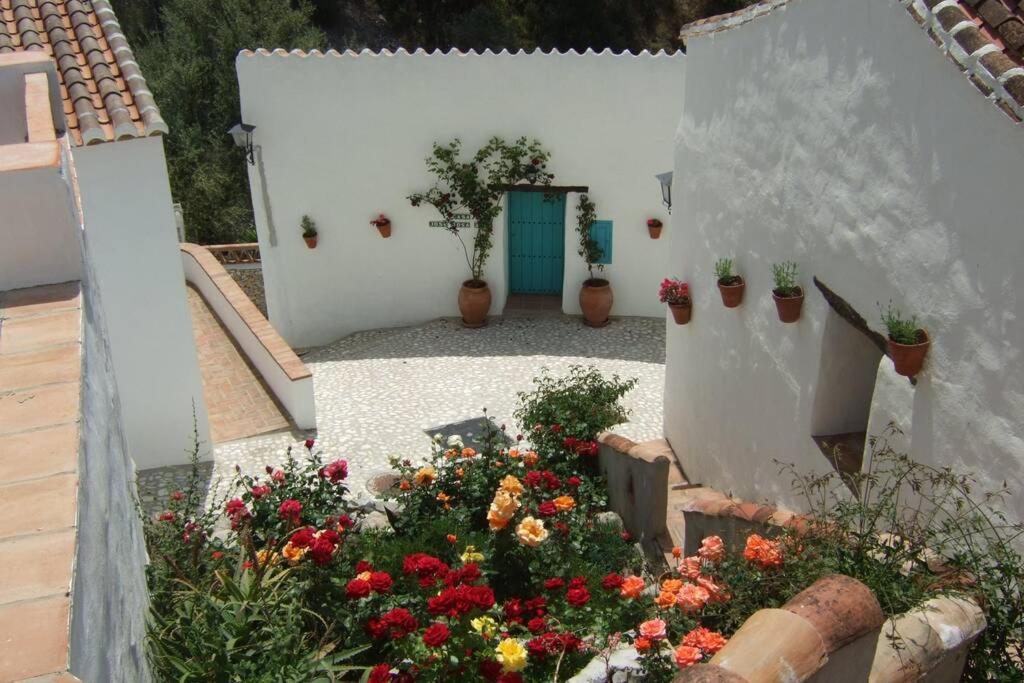 Casa Rosa, Con Encanto Y Piscina Climatizada فريجيليانا المظهر الخارجي الصورة