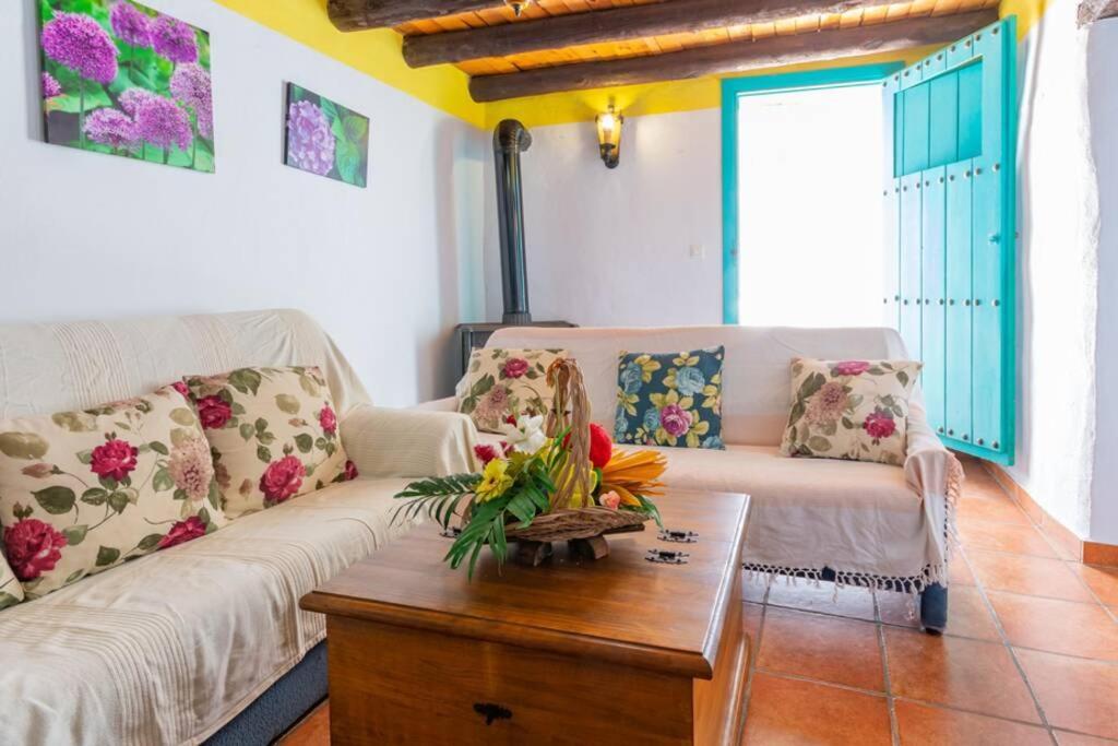 Casa Rosa, Con Encanto Y Piscina Climatizada فريجيليانا المظهر الخارجي الصورة